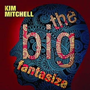 Release cover